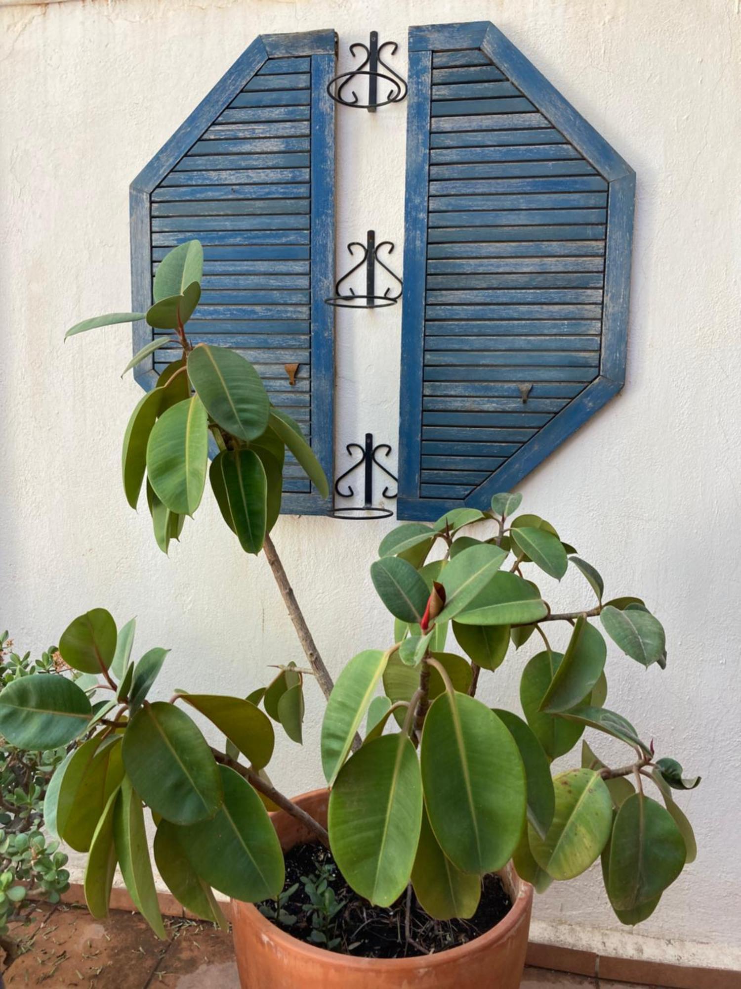 Appartamento Casa Coco No 11 Polopos Esterno foto